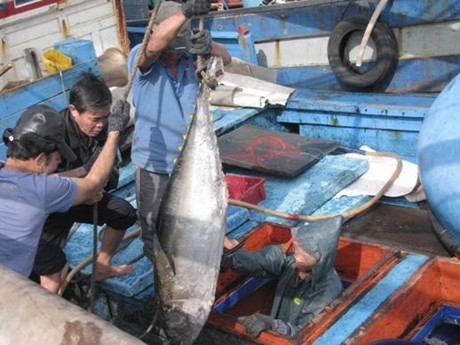 Trao thiết bị câu cá ngừ đại dương của Nhật Bản cho ngư dân ảnh 1